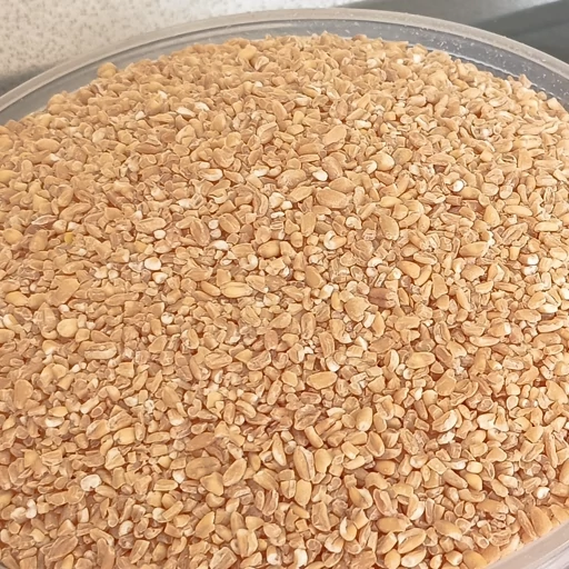 بلغور گندم