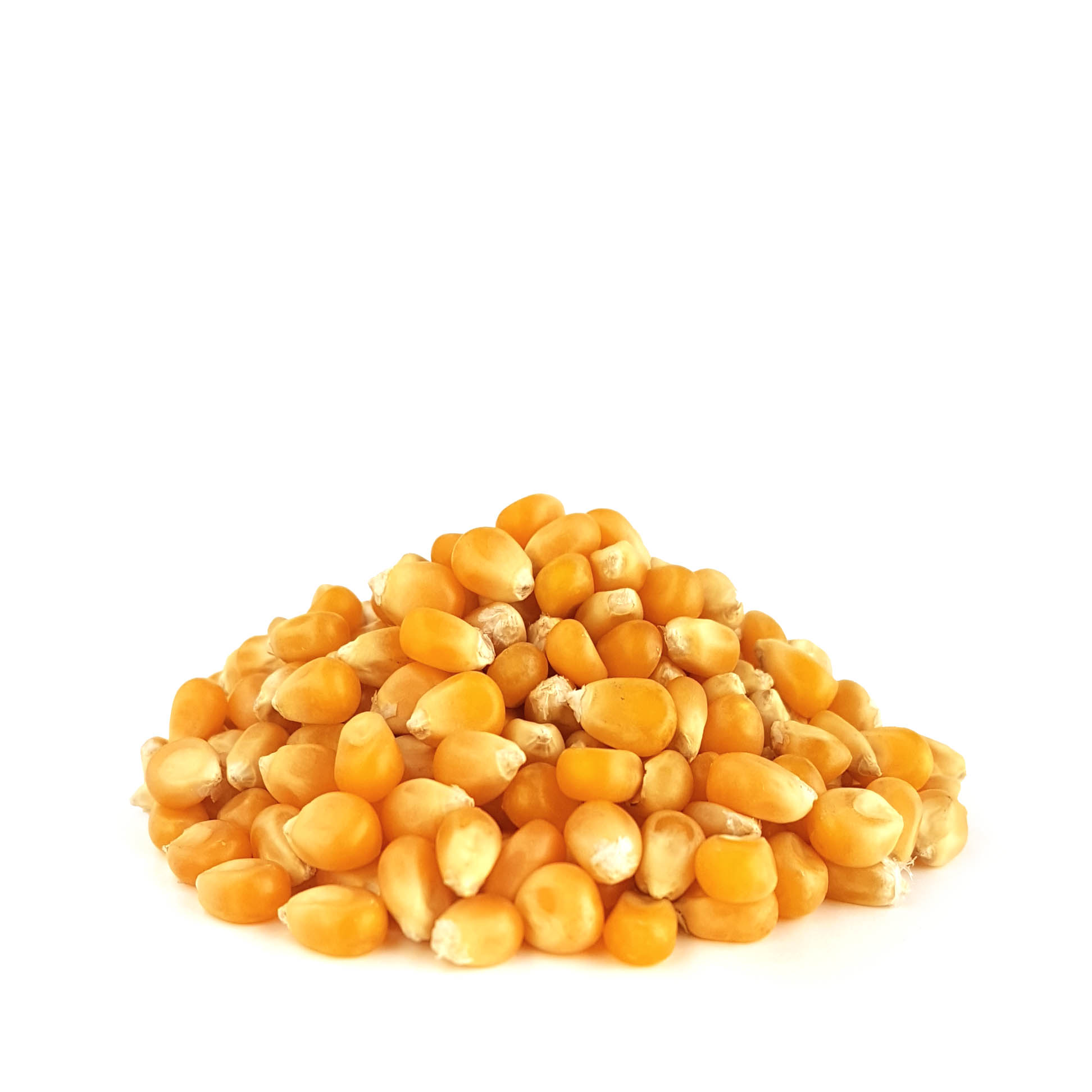 ذرت آمریکایی