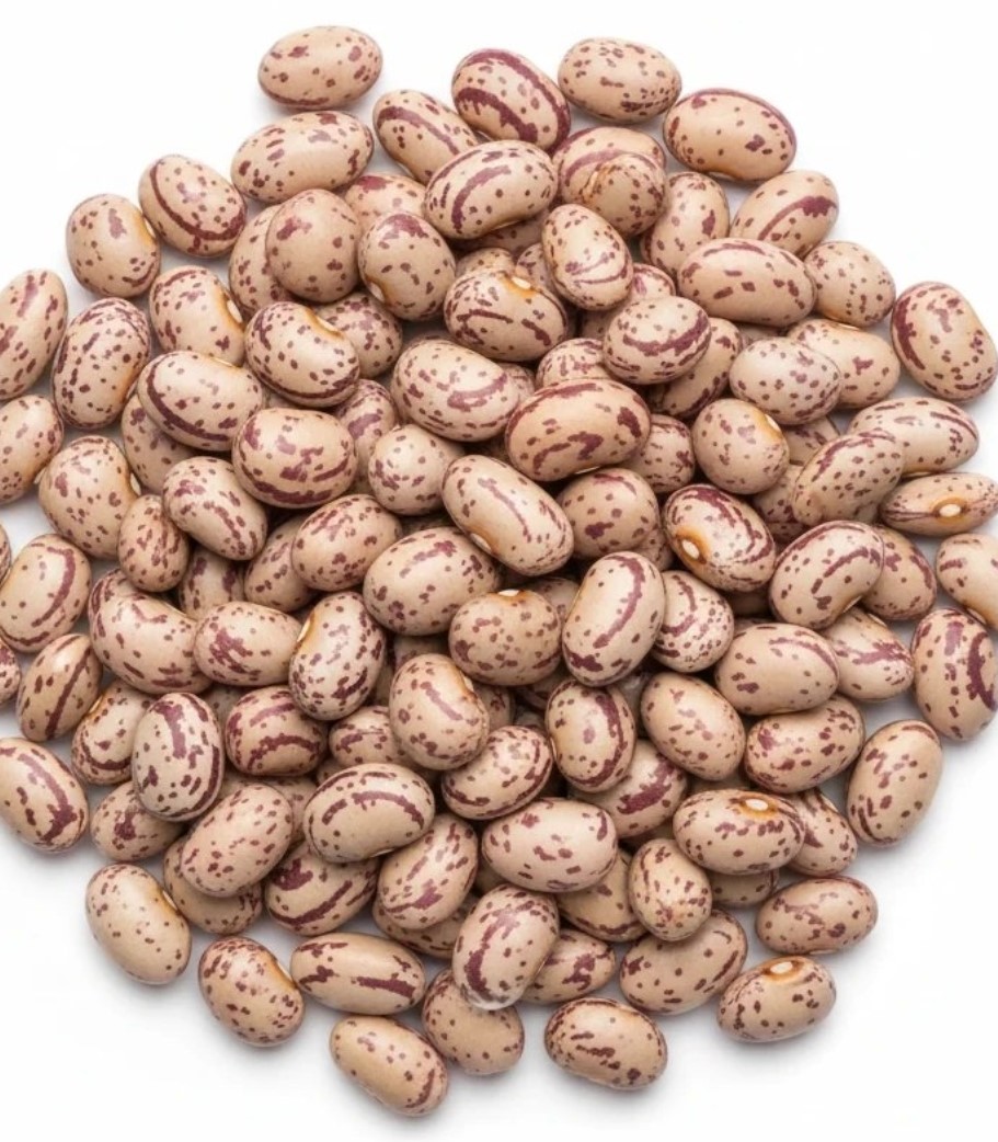 لوبیا چیتی
